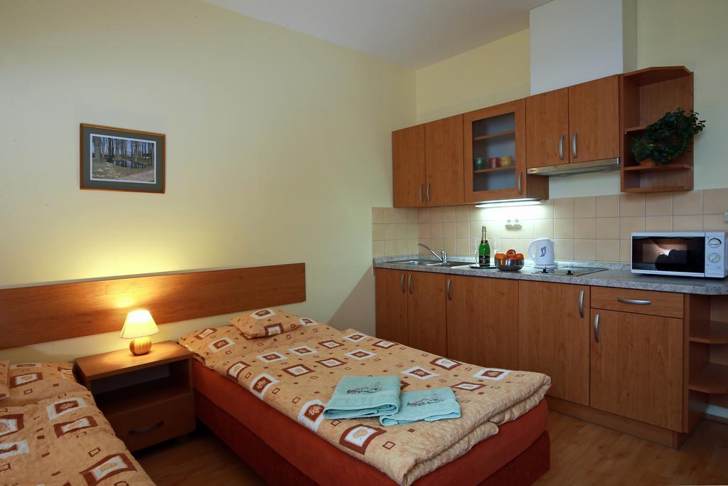Wellness Penzion Pod Rozhlednou Kostelec nad Orlicí Habitación foto
