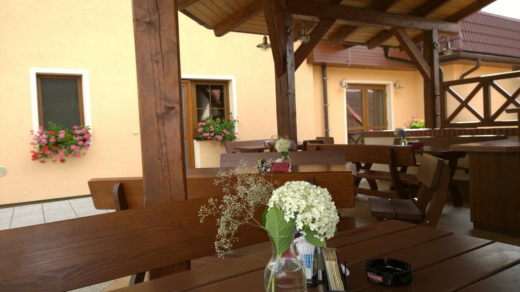 Wellness Penzion Pod Rozhlednou Kostelec nad Orlicí Exterior foto